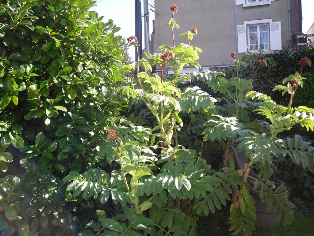 Appartement La Loob Gites De Daumesnil Etage Morlaix Szoba fotó